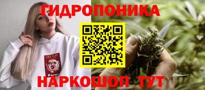 мяу мяу мука Абакан