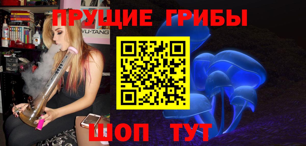 закладка  Вход с VPN  Алексеевка  Галлюциногенные грибы прущие грибы 