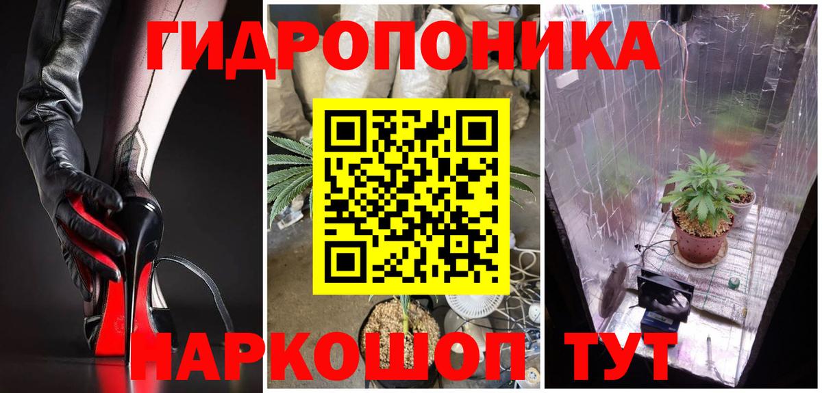 Каннабис AK-47 Алексеевка